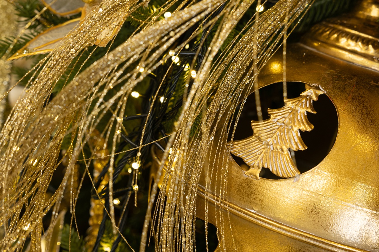 20112024-Spirit&Sparkles-10 de tamaño grande